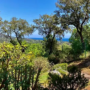 Les Restanques Vue 5 Pers Glycine 2067 Appartement